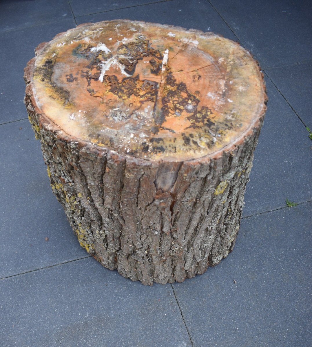 Ongebruikt Doe het zelf project: boomstam krukje - Klus & Wooninspiratie YD-94
