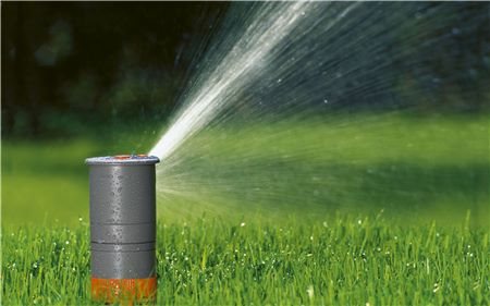 Correspondent plaats Laster Planten water geven in je tuin - Klus & Wooninspiratie